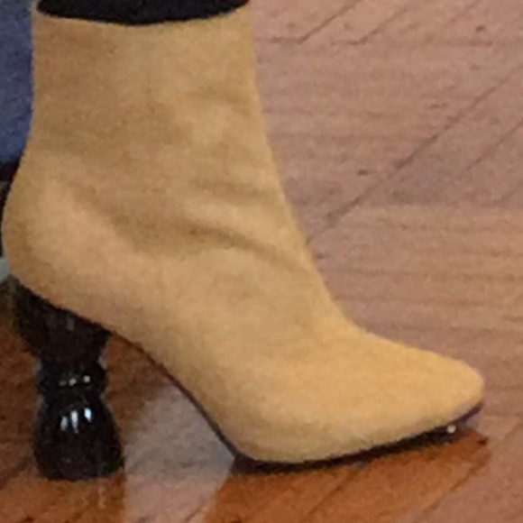 Meet your Posher, Shaina - Picture 1 of 1